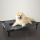 Chaise longue pour chien Relax