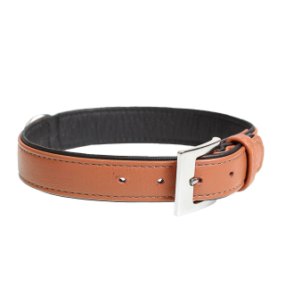 Collar de perro Popular de cuero coñac 37-43cm 19mm