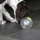 "Twist & Lick" multifunctional treat ball