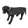 Cappotto puffer per cani da esterno