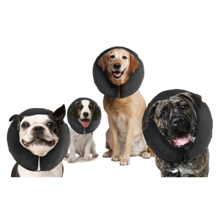 Procollar for dogs best sale